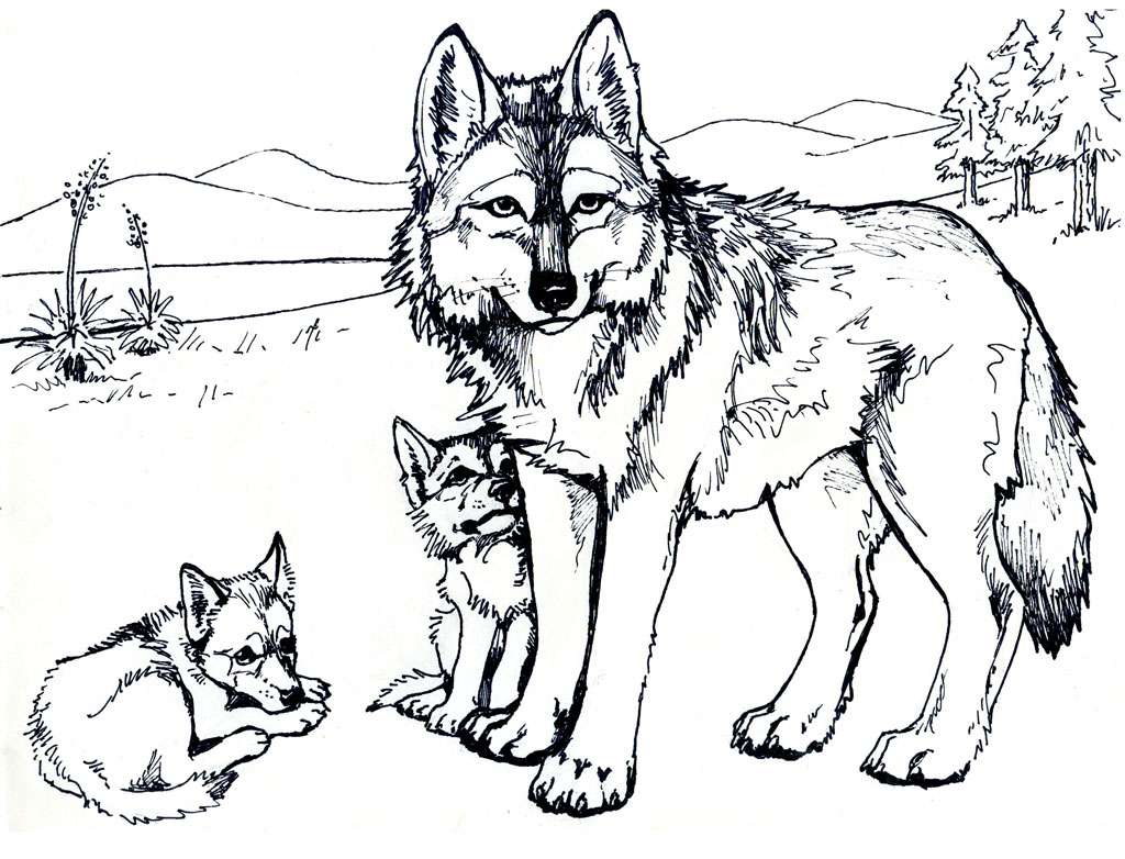 Featured image of post Imagem De Lobo Para Colorir : Curiosidades sobre lobo para colorir.