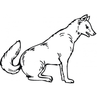 Desenho de Lobo sentado para colorir