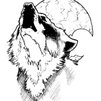 Desenho de Lobo uivando e a lua para colorir