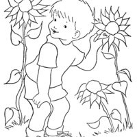 Desenho de Menino vendo joaninha no girassol para colorir