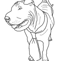 Desenho de Cachorro bravo com gravata para colorir