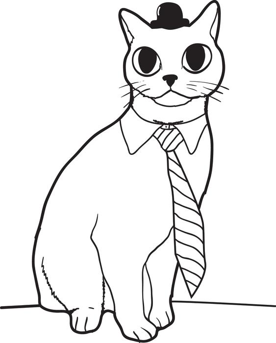 Gato com gravata