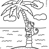 Desenho de Macaco na ilha para colorir
