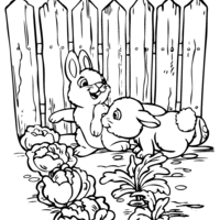 Desenho de Coelhinhos na horta para colorir