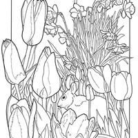 Desenho de Coelho de tulipas para colorir
