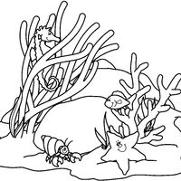 Desenho de Cavalo marinho entre algas para colorir