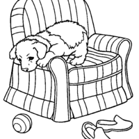 Desenho de Cachorrinho na poltrona para colorir