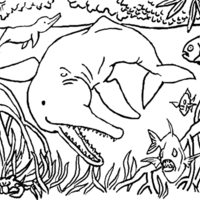 Desenho de Beluga no Rio Amazonas para colorir