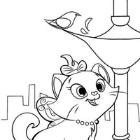 Desenho de Gata Marie vendo passarinho para colorir