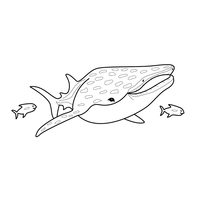Desenho de Tubarão baleia nadando com peixinhos para colorir