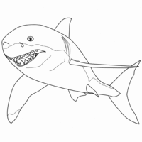 Desenho de Tubarão perigoso nadando para colorir