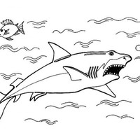 Desenho de Tubarão no oceano para colorir