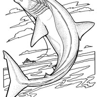 Desenho de Tubarão saltando en el mar para colorir