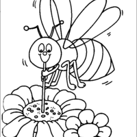 Desenho de Abelha chupando néctar da flor para colorir