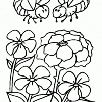 Desenho de Abelhinhas nas flores para colorir