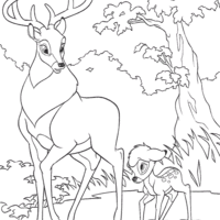 Desenho de Bambi e cervo passeando para colorir