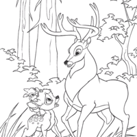 Desenho de Bambi e cervo para colorir