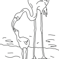 Desenho de Flamingo alimentando filhote para colorir