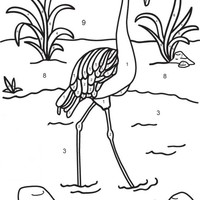 Desenho de Colorir com números - Flamingo para colorir