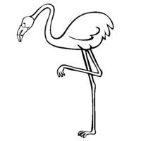 Desenho de Flamingo em uma só pata para colorir