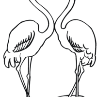 Desenho de Flamingos formando coração para colorir
