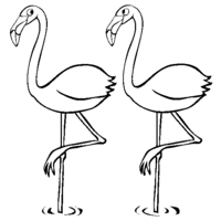 Desenho de Flamingos parados para colorir