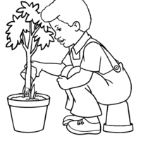 Desenho de Menino cuidando de vaso de planta para colorir