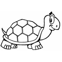 Desenho de Tartaruga alerta para colorir