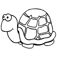 Desenho de Tartaruga comum para colorir