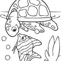 Desenho de Tartaruga conversando com peixinho para colorir