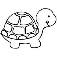 Desenho de Tartaruga pequena para colorir