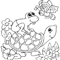 Desenho de Tartaruga, sapo e borboleta para colorir