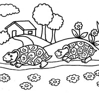 Desenho de Tartarugas passeando juntas para colorir