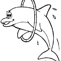 Desenho de Golfinho adestrado para colorir