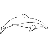 Desenho de Golfinho bonito para colorir