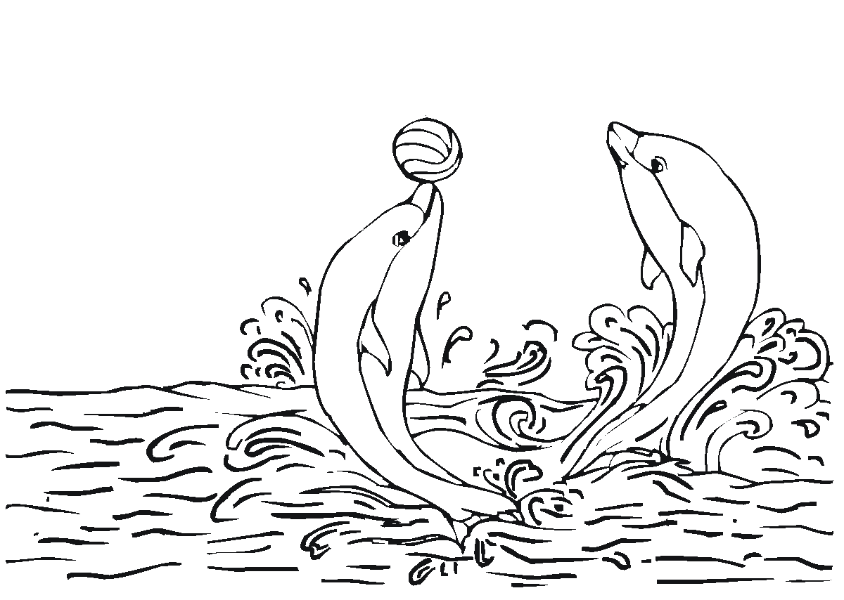 Golfinhos brincando com bola