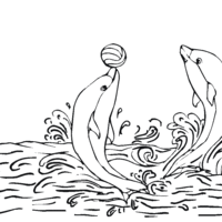 Desenho de Golfinhos brincando com bola para colorir