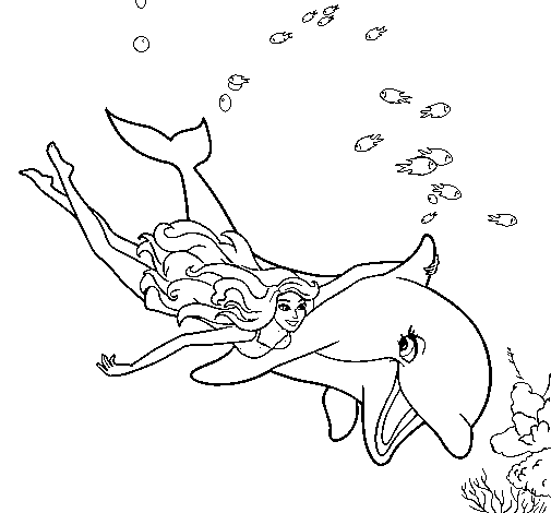 Golfinho e barbie nadando