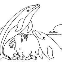 Desenho de Dois golfinhos brincando para colorir
