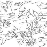 Desenho de Golfinhos nadando juntos para colorir