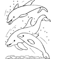 Desenho de Golfinhos saltando e brincando no oceano para colorir