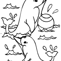 Desenho de Mamãe golfinho e filhote para colorir