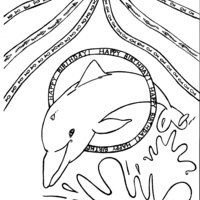 Desenho de Lindo golfinho para colorir