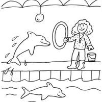 Desenho de Menina adestrando golfinho para colorir