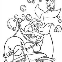 Desenho de Pequena Sereia e golfinho para colorir
