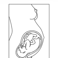 Desenho de Bebê no útero materno para colorir