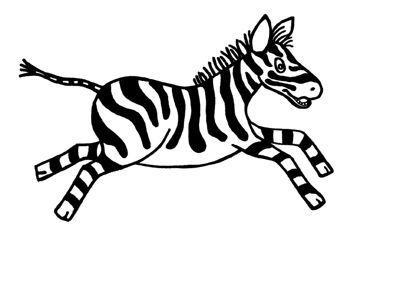 Zebra correndo