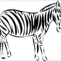 Desenho de Zebra elegante para colorir