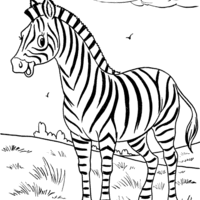 Desenho de Zebra na savana para colorir