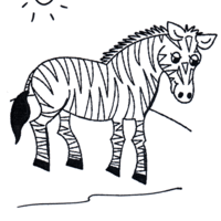 Desenho de Zebra pastando para colorir
